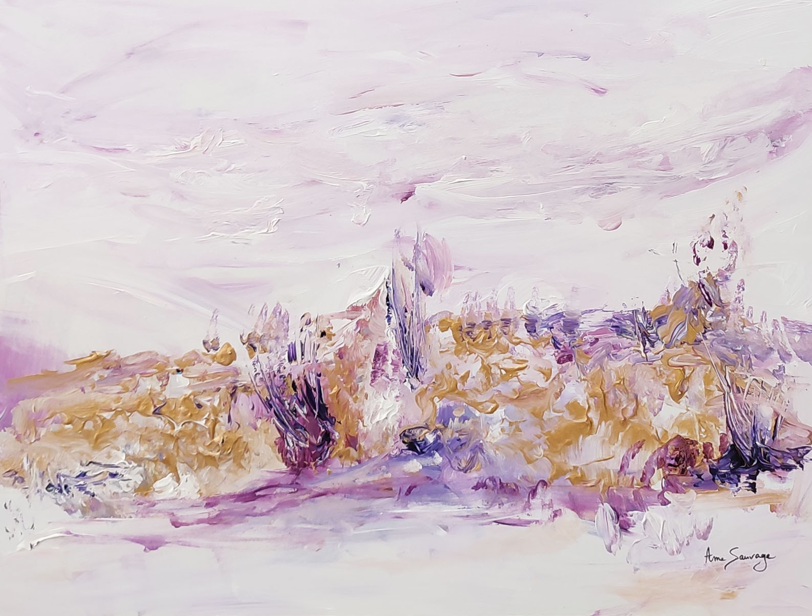 Âme Sauvage, Paysage oublié Âme Sauvage, Paysage oublié