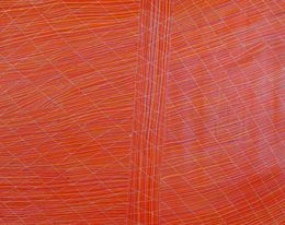 Gemälde, Wild orange ceremony, Lizzie Pwerle
