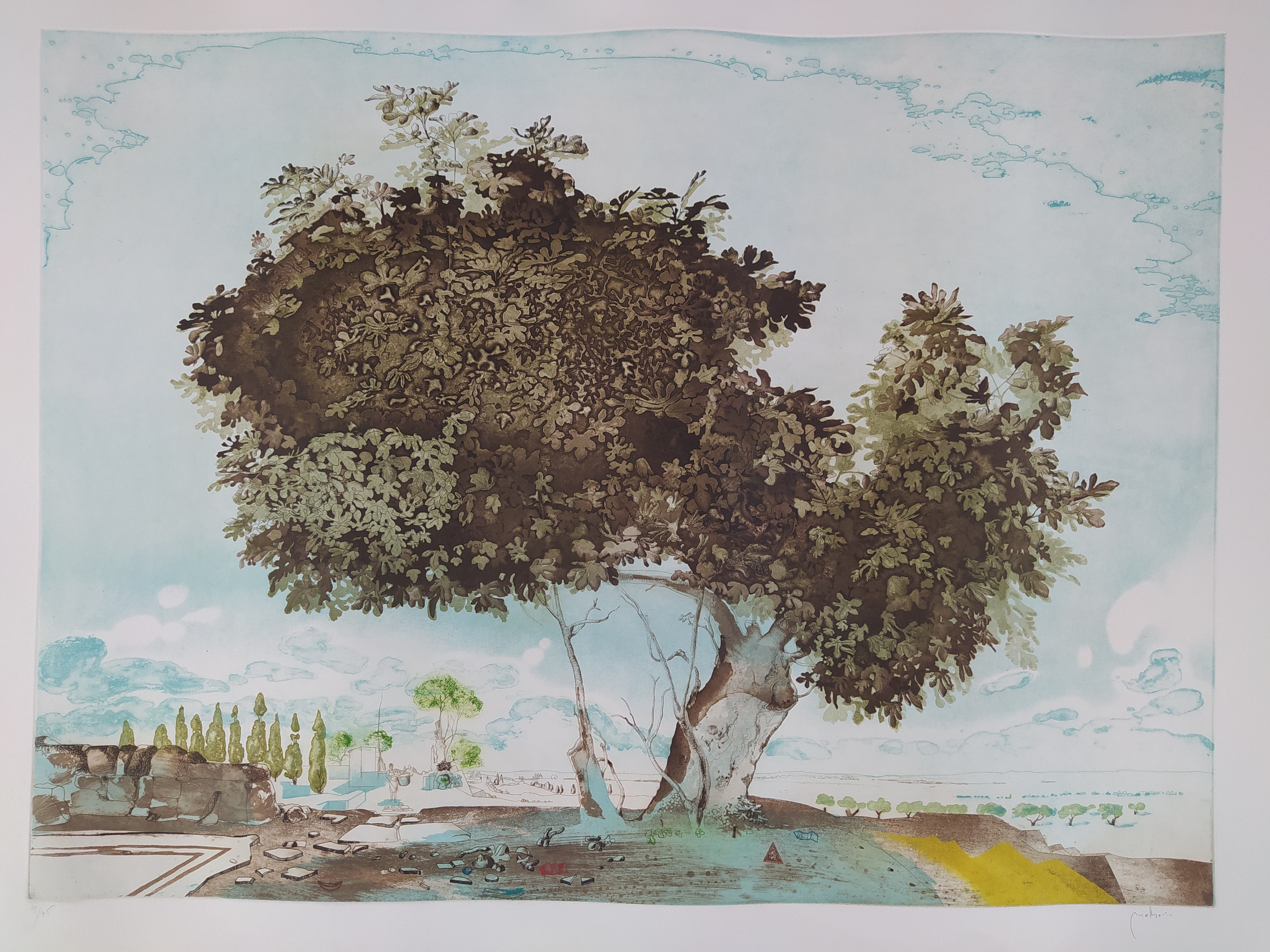 Ramon Pujol Boira, Untitled Ramon Pujol Boira, Untitled