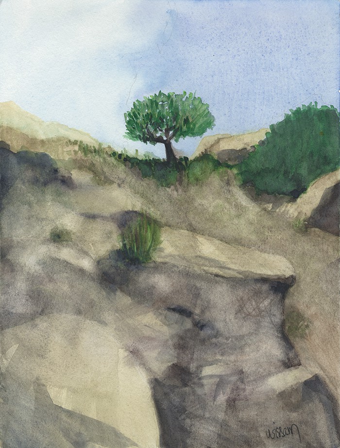 Wissam Beydoun, Landscape Wissam Beydoun, Landscape