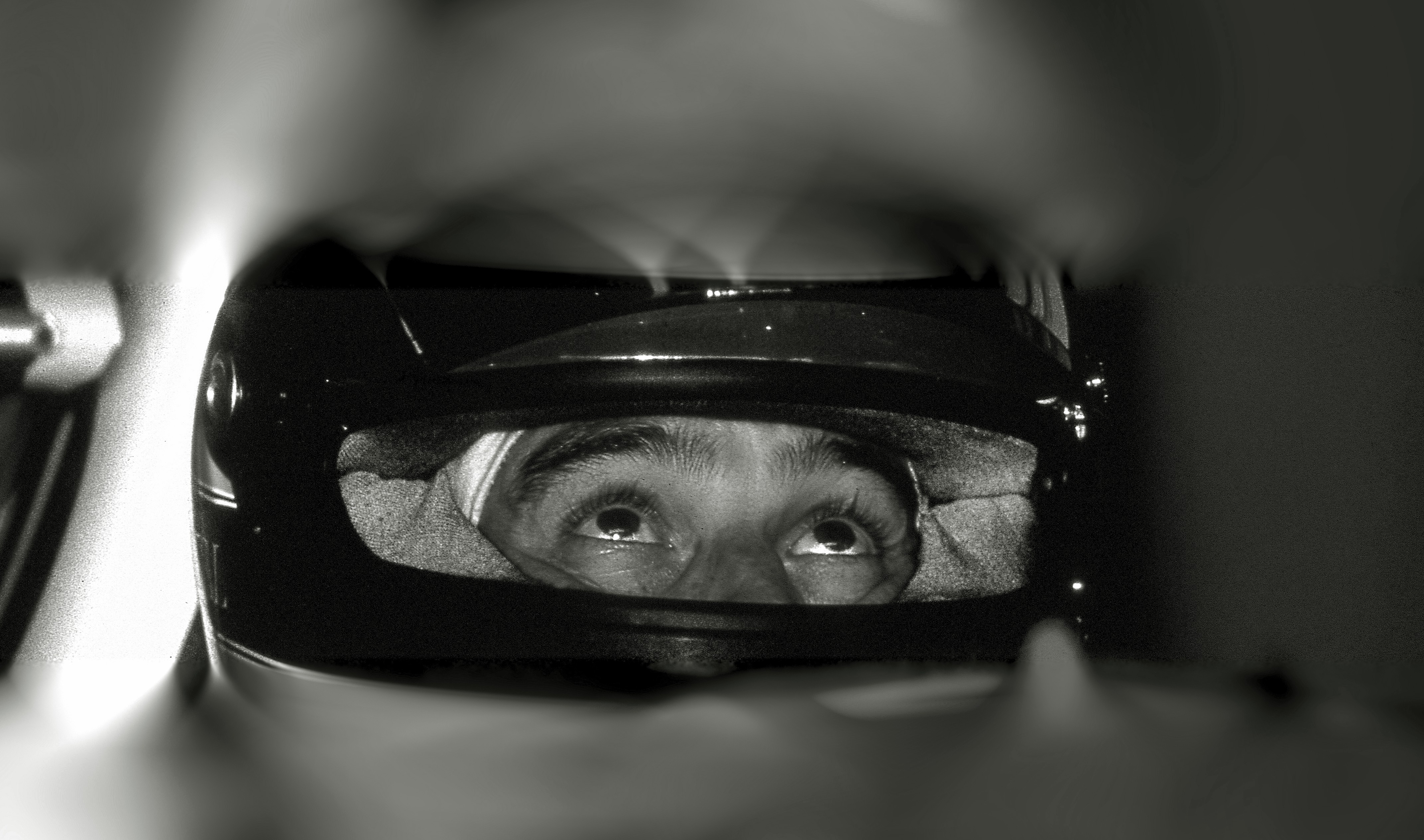 Dominique Leroy, Regard Ayrton Senna Dominique Leroy, Regard Ayrton Senna