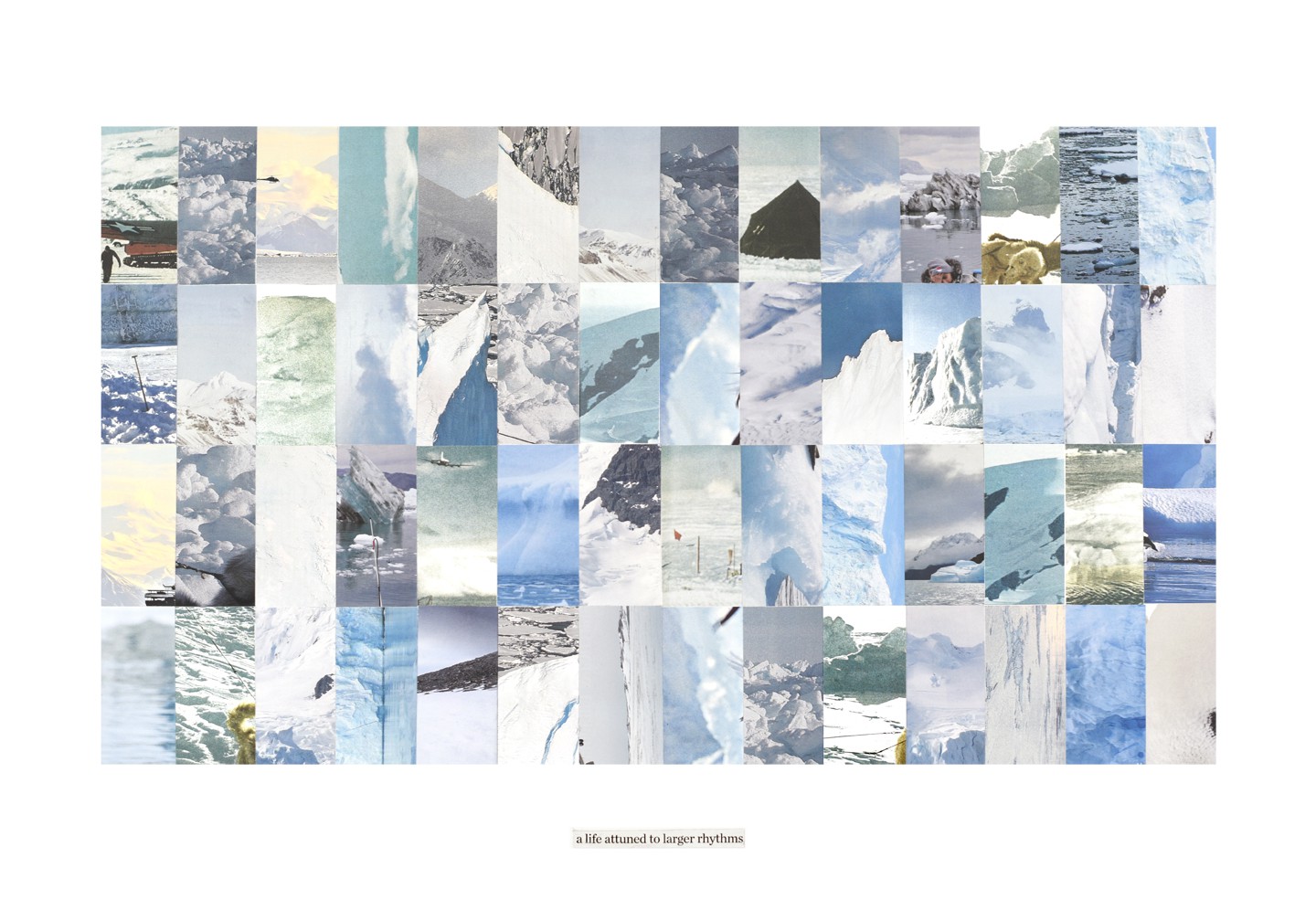 Jessica Houston, A life attuned to larger rhythms Jessica Houston, A life attuned to larger rhythms