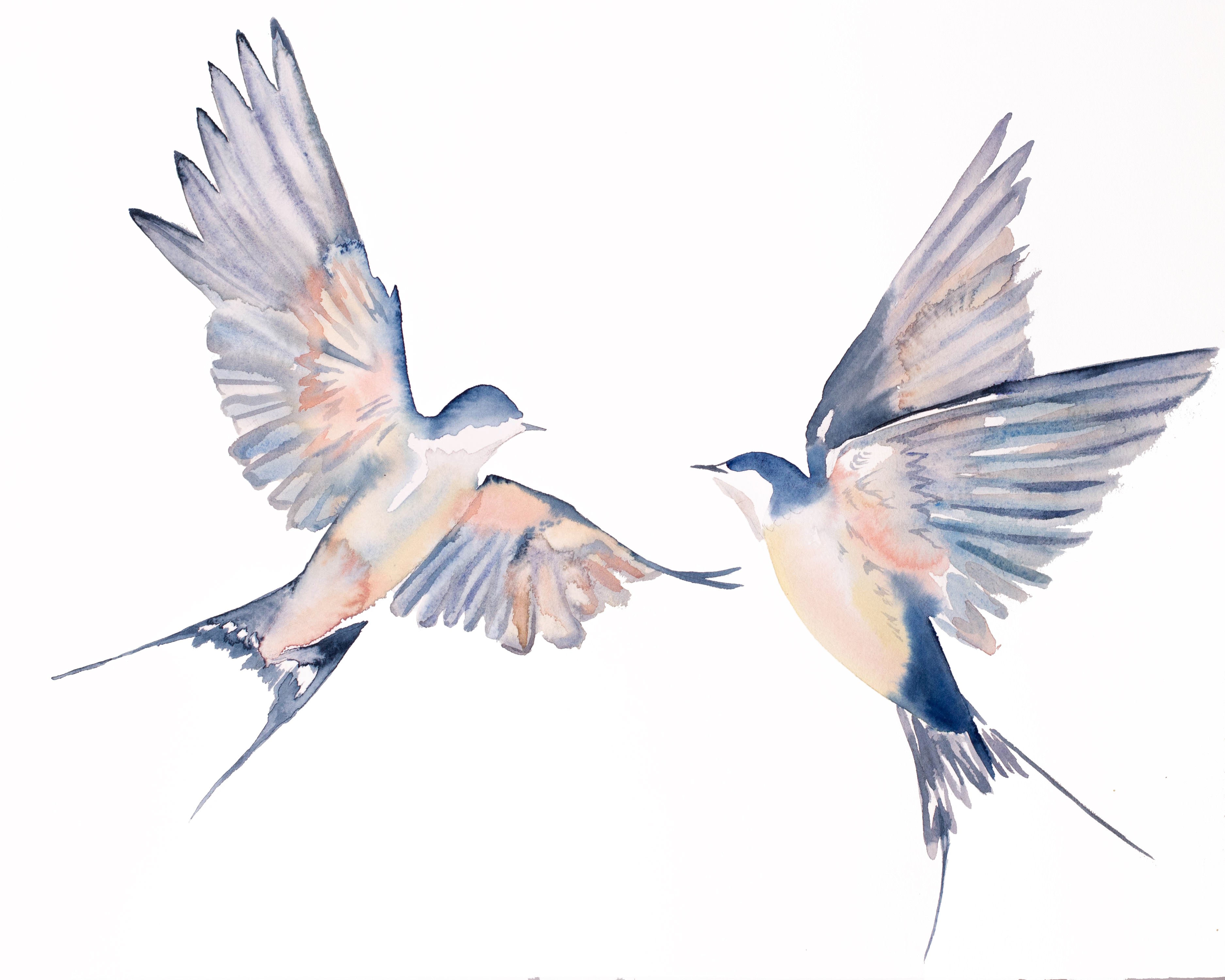 Elizabeth Becker, Swallows in Flight No. 45 Elizabeth Becker, Swallows in Flight No. 45