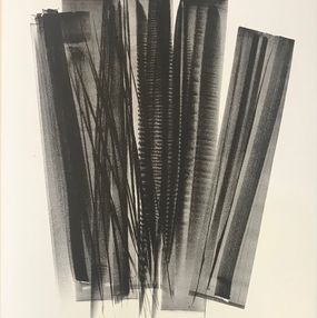 Campagne de schiste, Hans Hartung