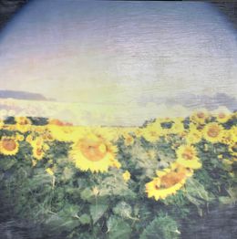 Ode to the Sun, Shawn Ehlers