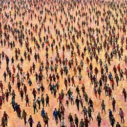 Bright Town, Julia Whitehead