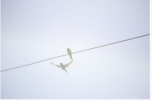 Rinko Kawauchi