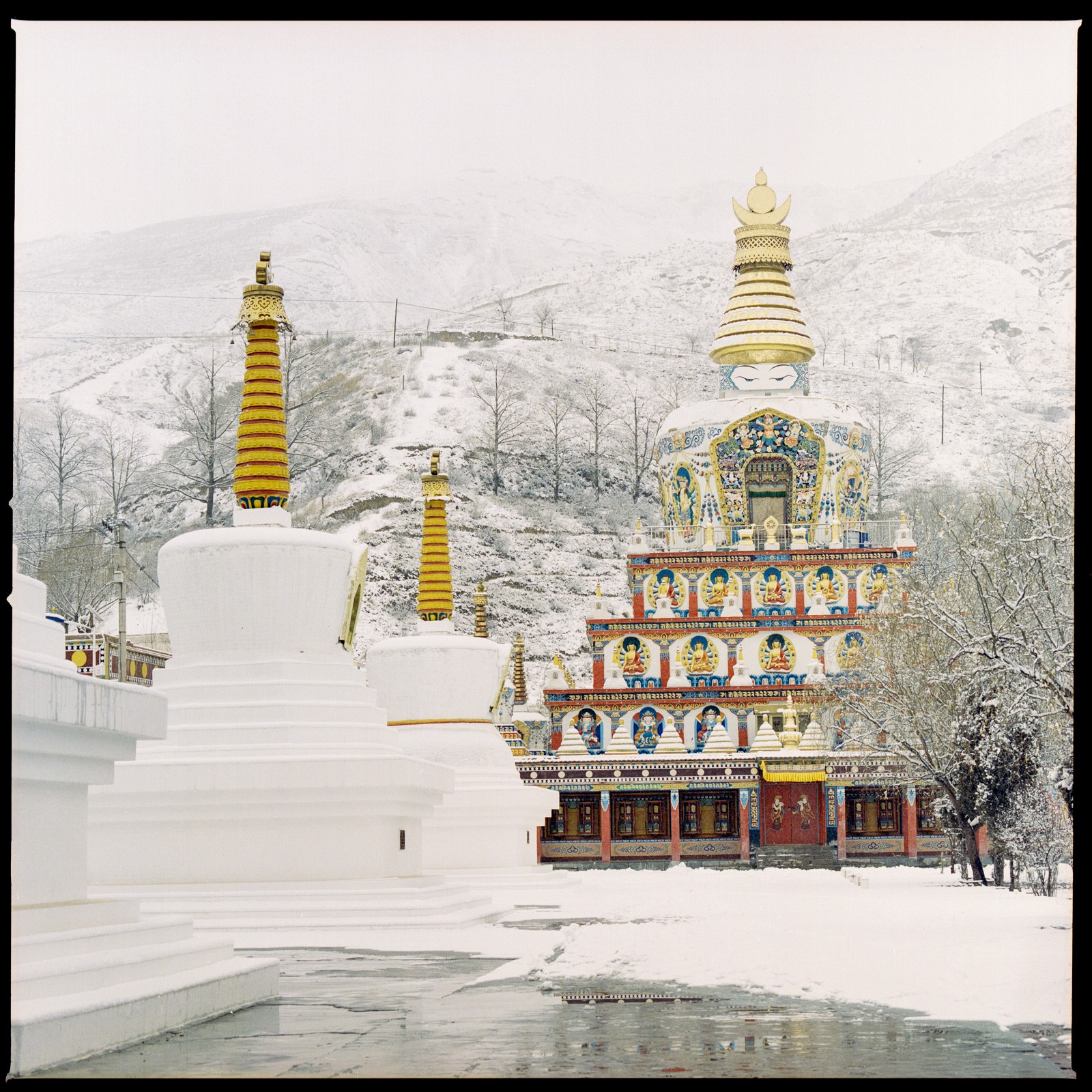 Shine Huang, Wutun Temple in Snow Shine Huang, Wutun Temple in Snow