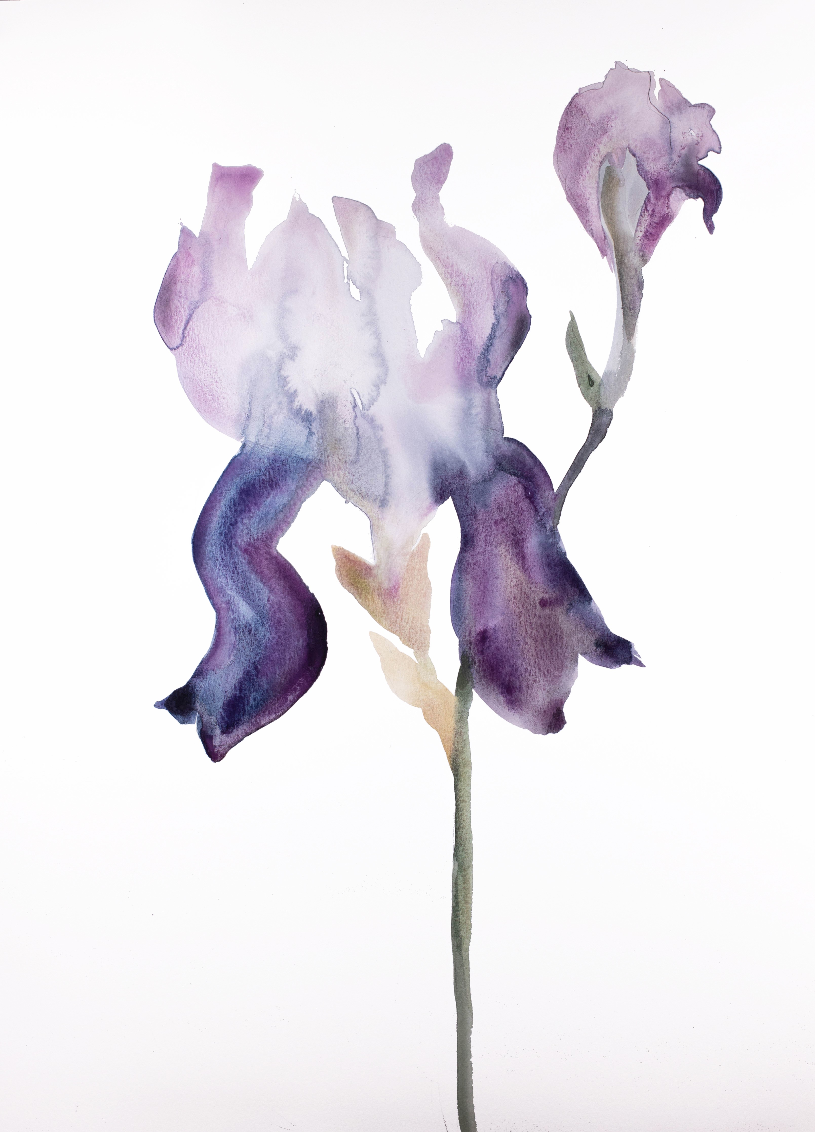 Elizabeth Becker, Iris No. 175 Elizabeth Becker, Iris No. 175