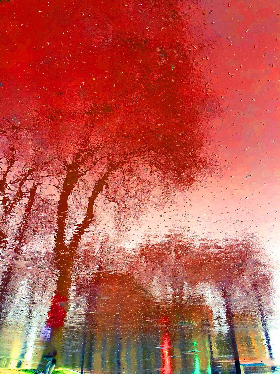 Badreddine Rafiq, Reflet rouge Badreddine Rafiq, Reflet rouge
