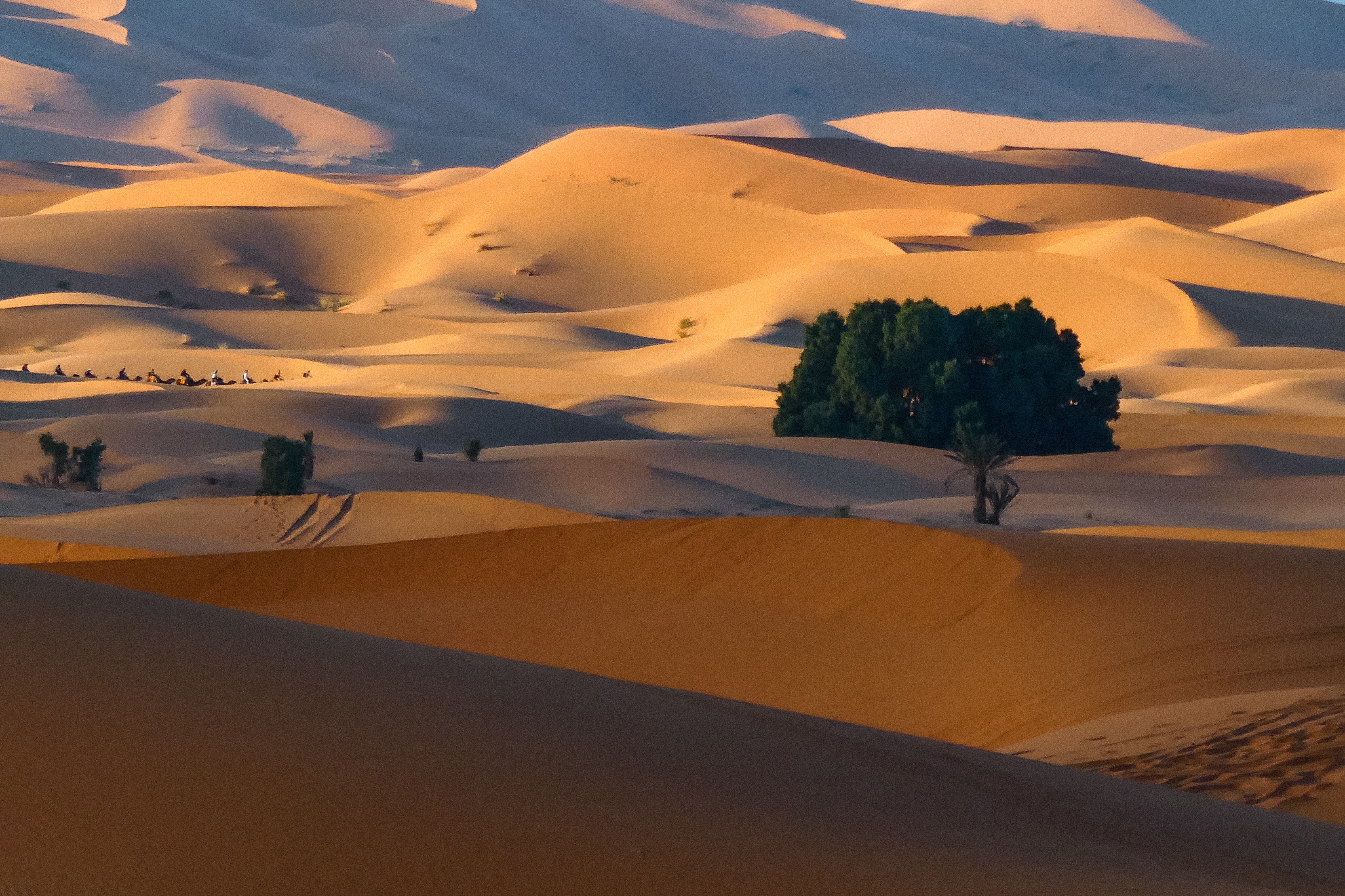 Dominique Leroy, Maroc. Dune de sable de Merzouga Dominique Leroy, Maroc. Dune de sable de Merzouga