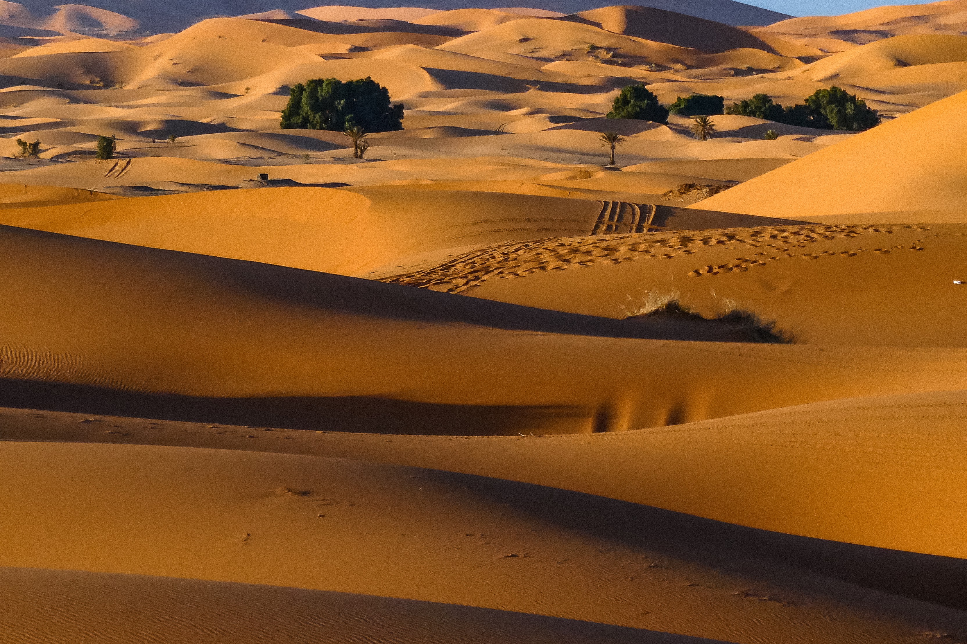 Dominique Leroy, Maroc. Dune de sable de Merzouga 2 Dominique Leroy, Maroc. Dune de sable de Merzouga 2