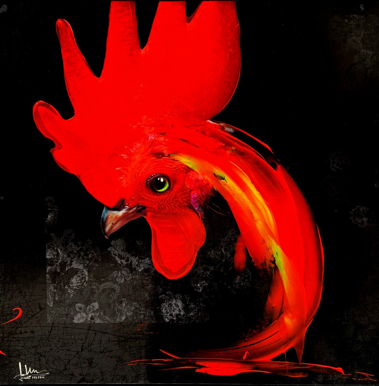 Marc Felten, Coq (1) Marc Felten, Coq (1)