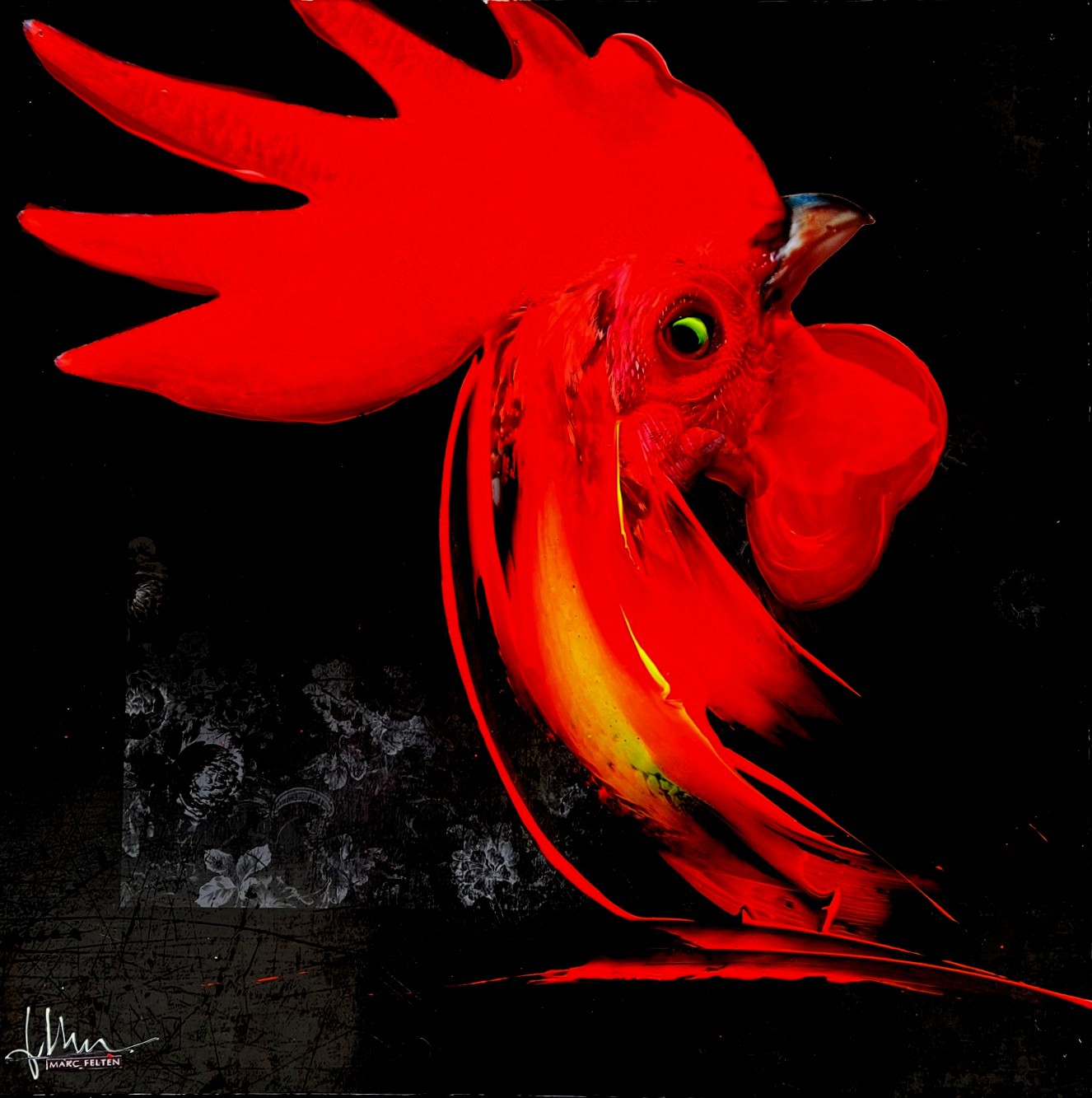 Marc Felten, Coq (2) Marc Felten, Coq (2)