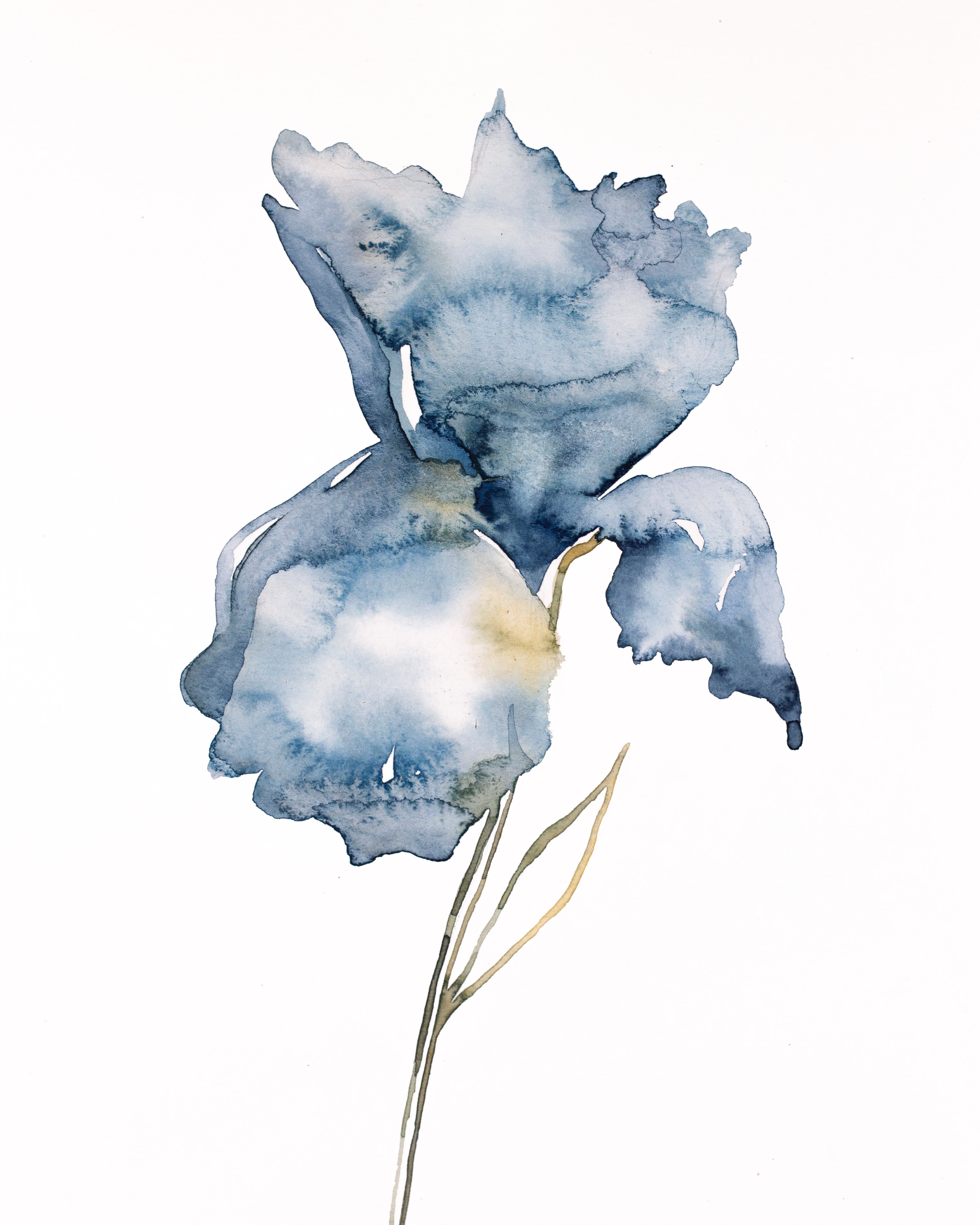 Elizabeth Becker, Iris No. 181 Elizabeth Becker, Iris No. 181