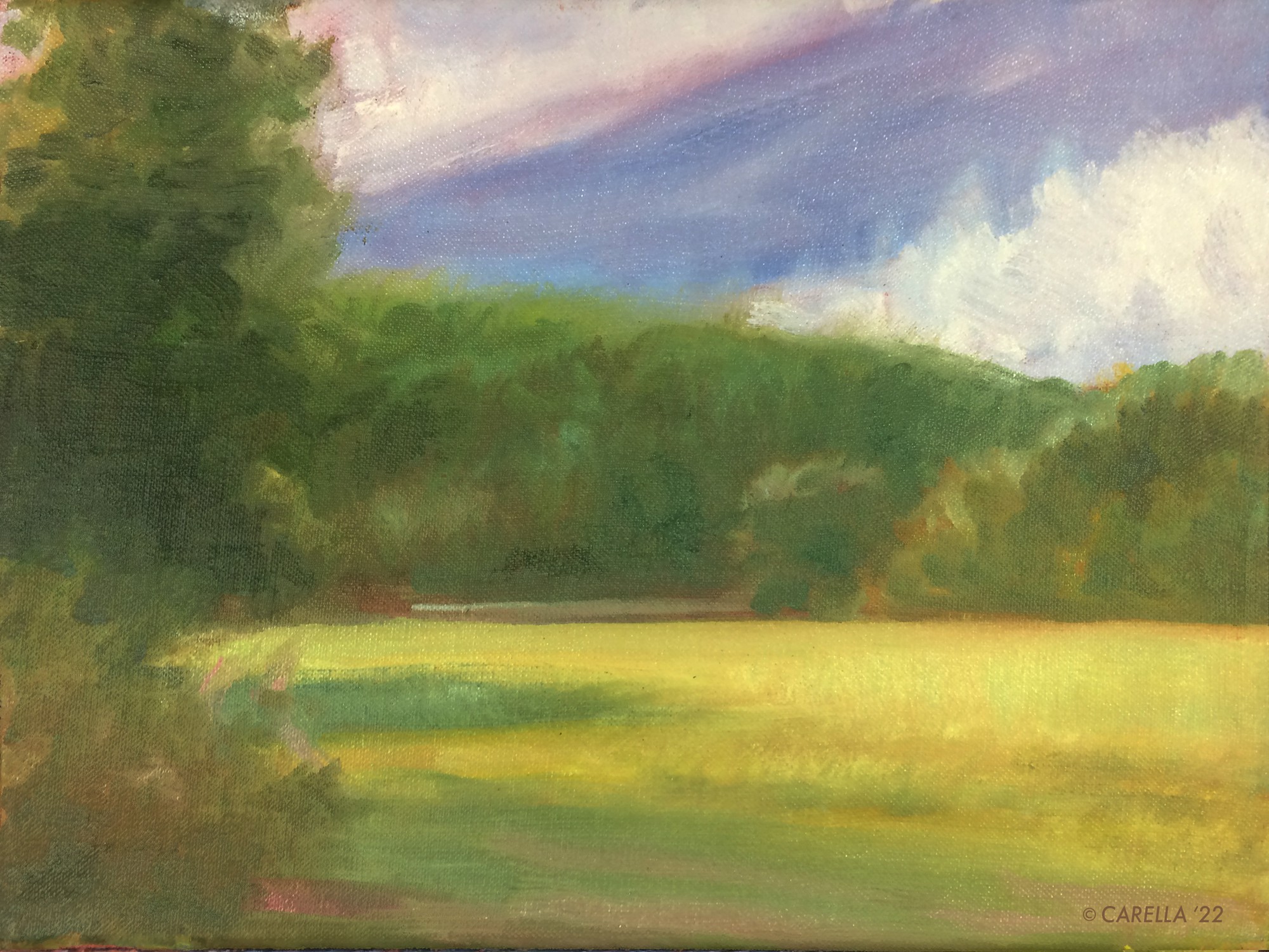 Peter Carella, Empty Field Peter Carella, Empty Field