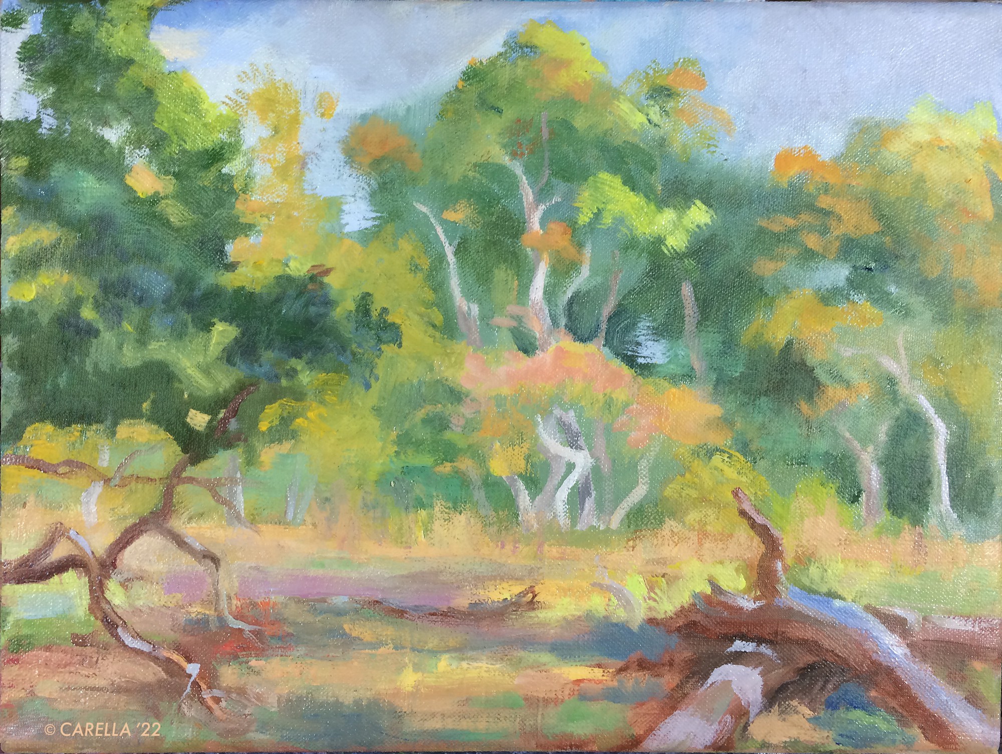 Peter Carella, Drought Peter Carella, Drought