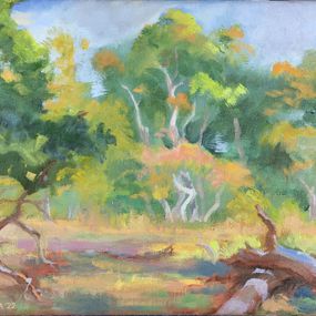 Painting, Drought, Peter Carella