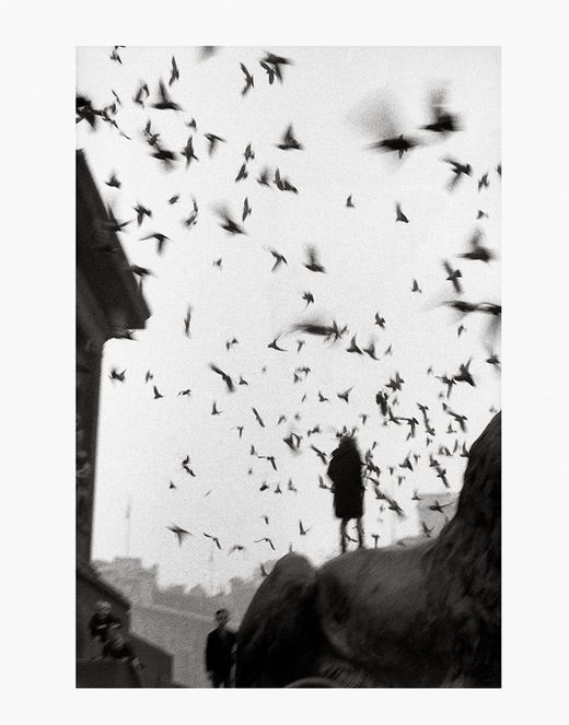 Sergio Larrain