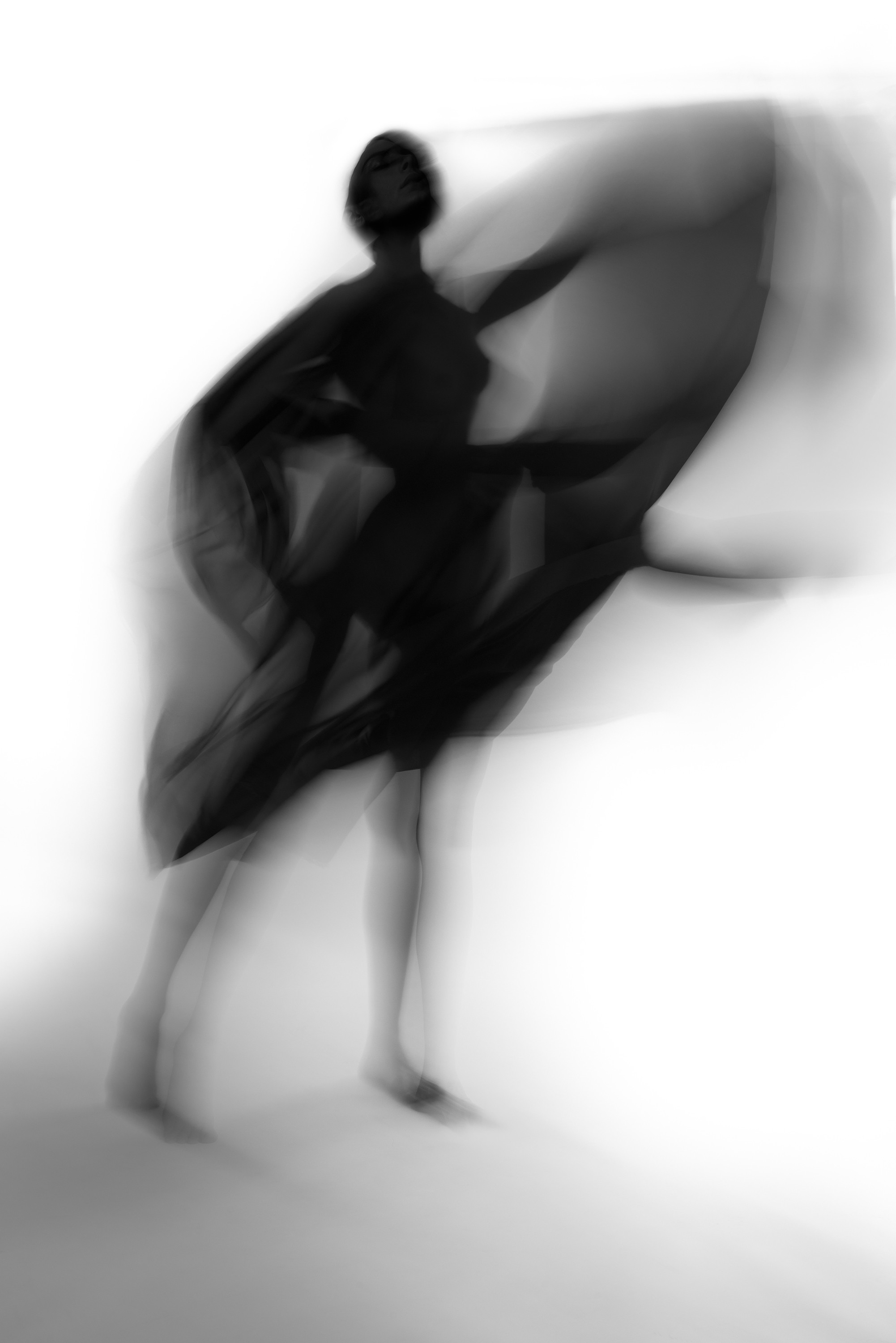 Deana Nastic, Silhouette V Deana Nastic, Silhouette V