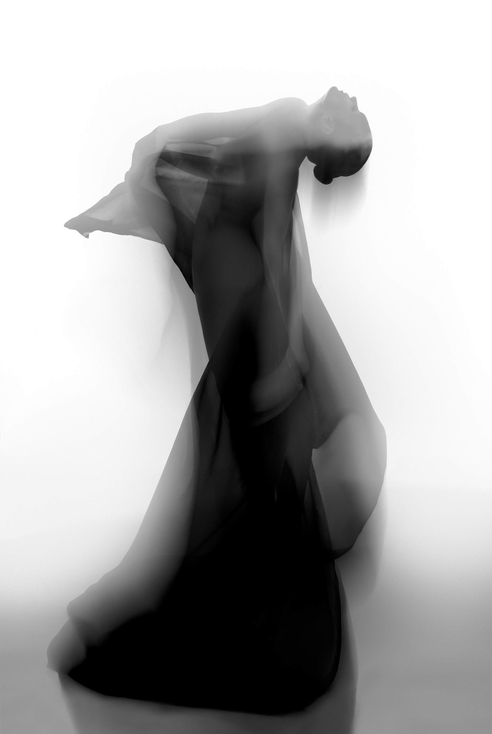 Deana Nastic, Silhouette VI Deana Nastic, Silhouette VI