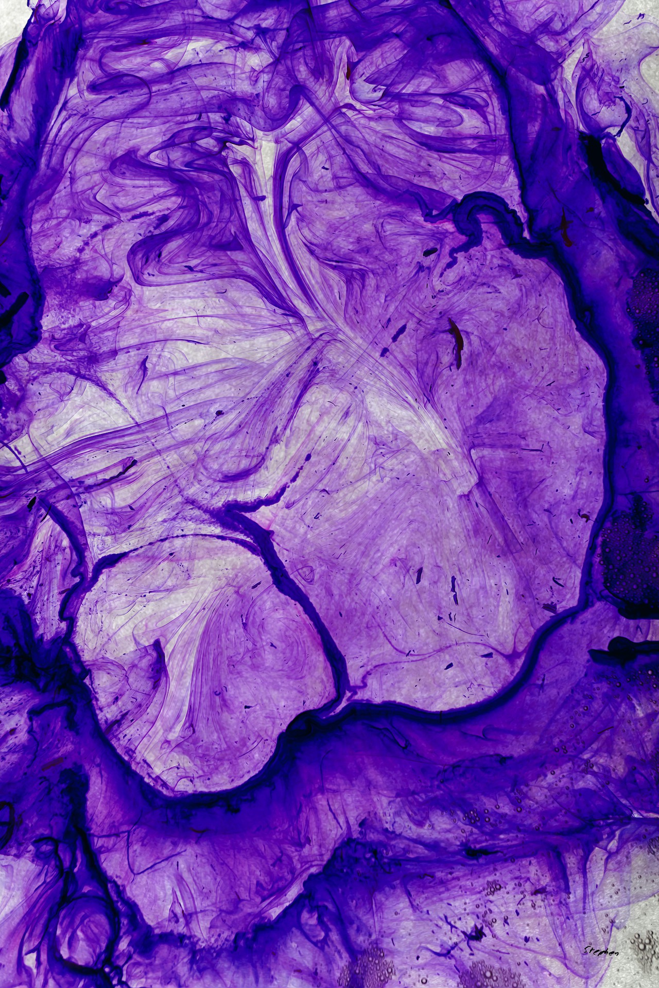 Stephen Linhart, Purple Two Stephen Linhart, Purple Two