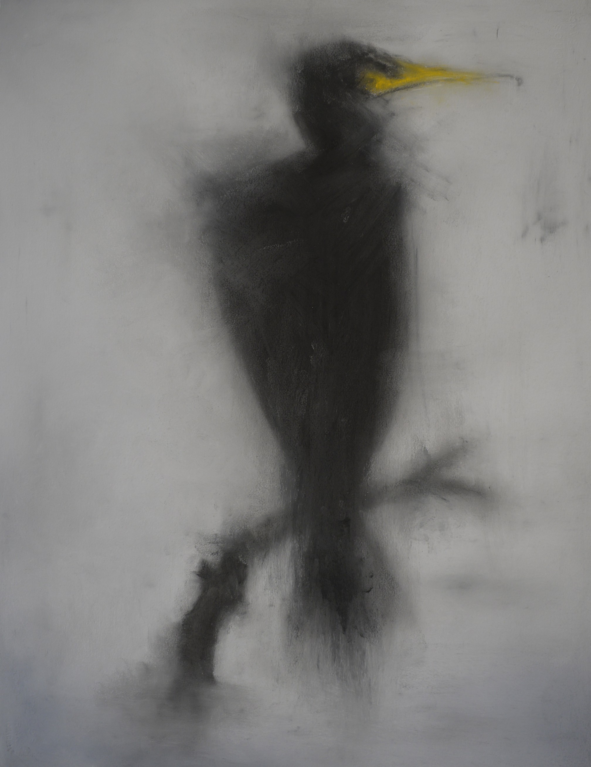 Kerstin Paillard, Cormorant 1 Kerstin Paillard, Cormorant 1