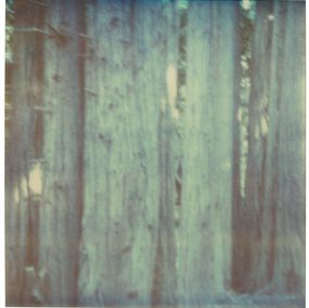Untitled (Fairytales), Stefanie Schneider