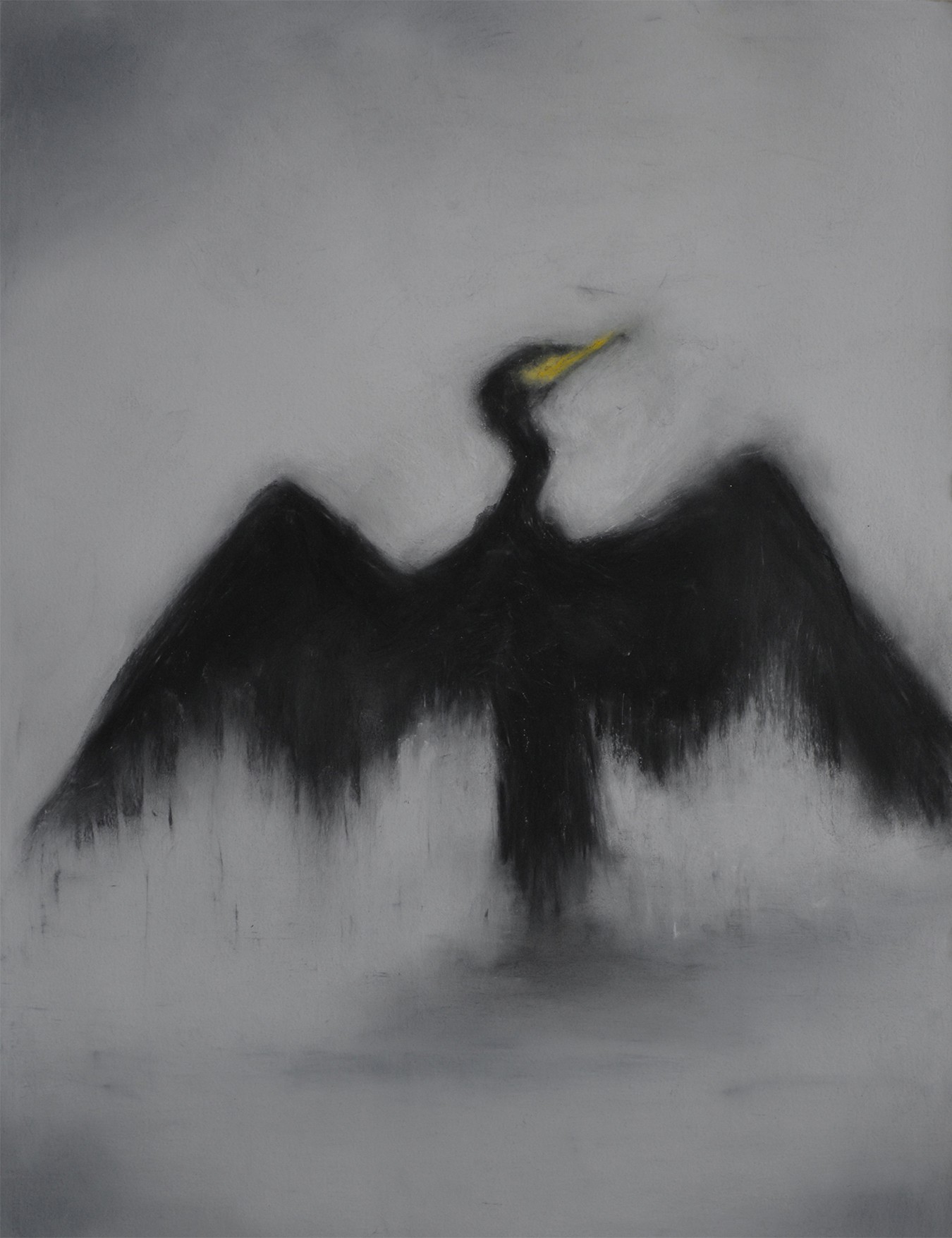 Kerstin Paillard, Cormorant 2 Kerstin Paillard, Cormorant 2