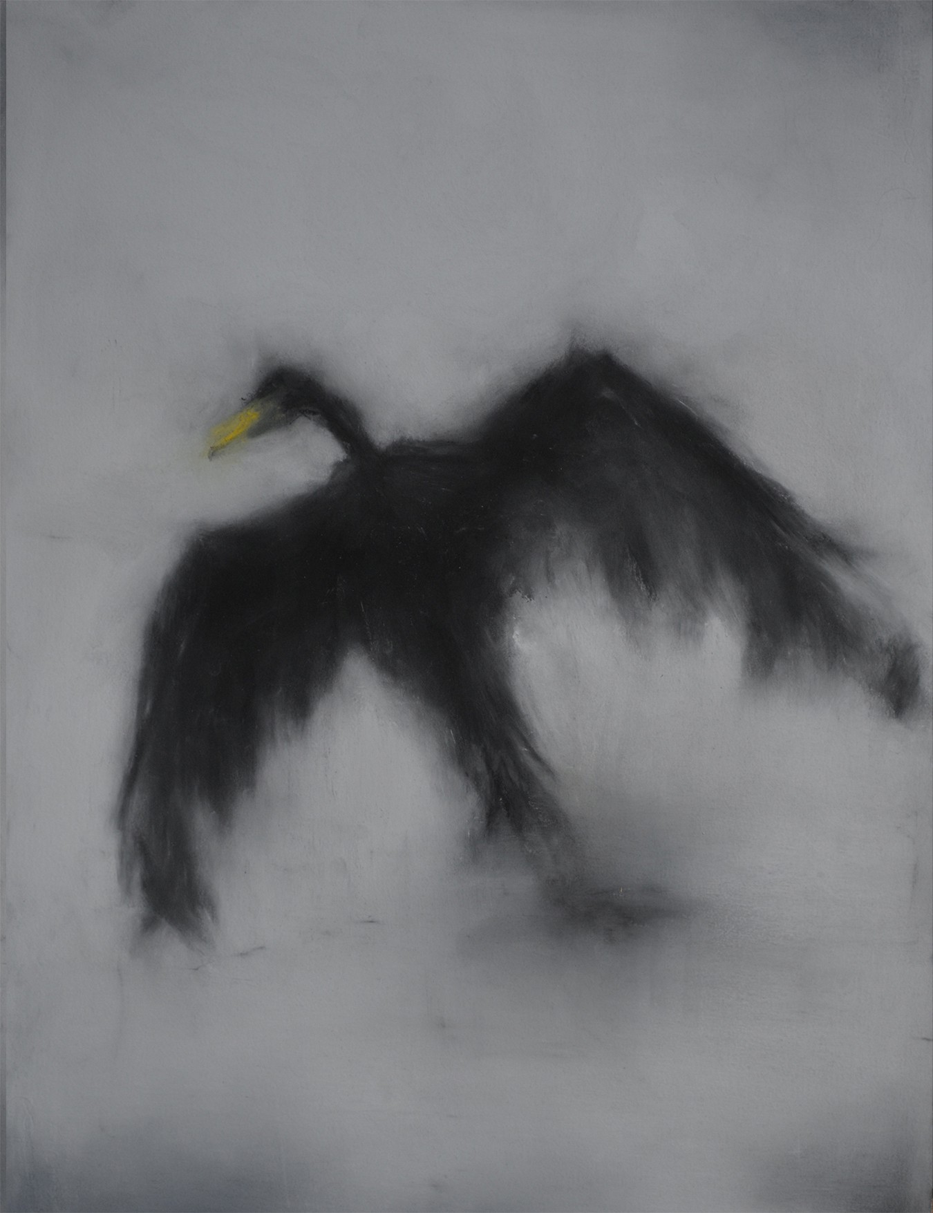 Kerstin Paillard, Cormorant 3 Kerstin Paillard, Cormorant 3