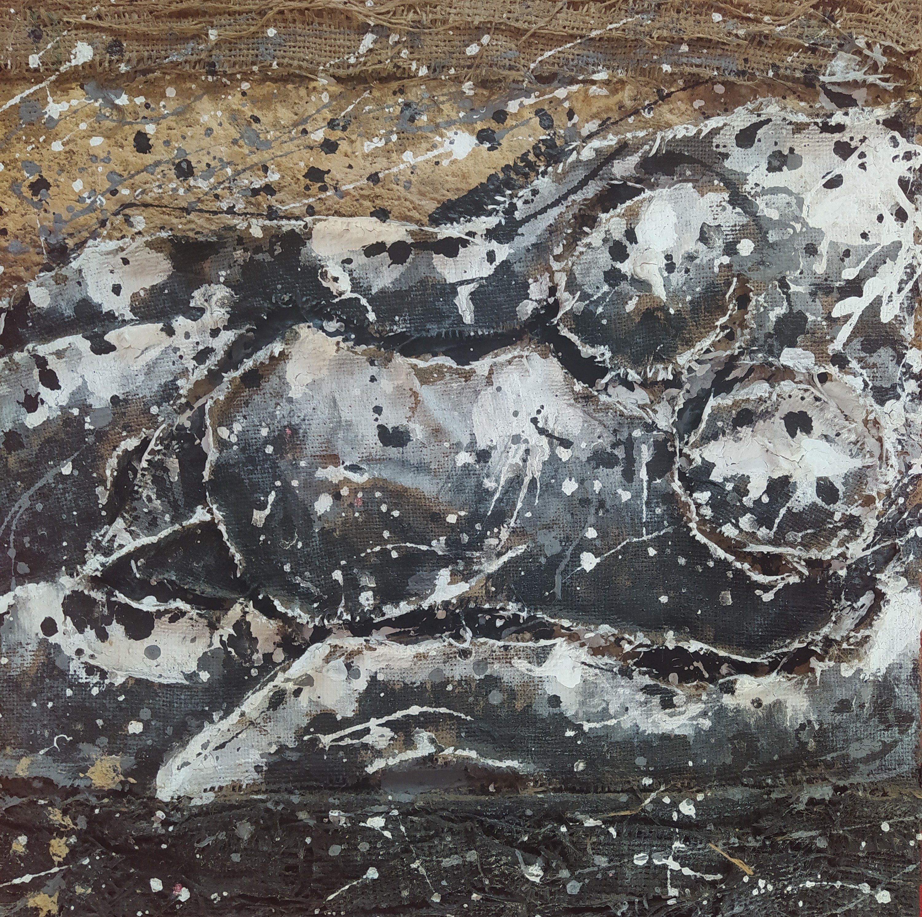 Joaquim Pujol Grau, Untitled Joaquim Pujol Grau, Untitled