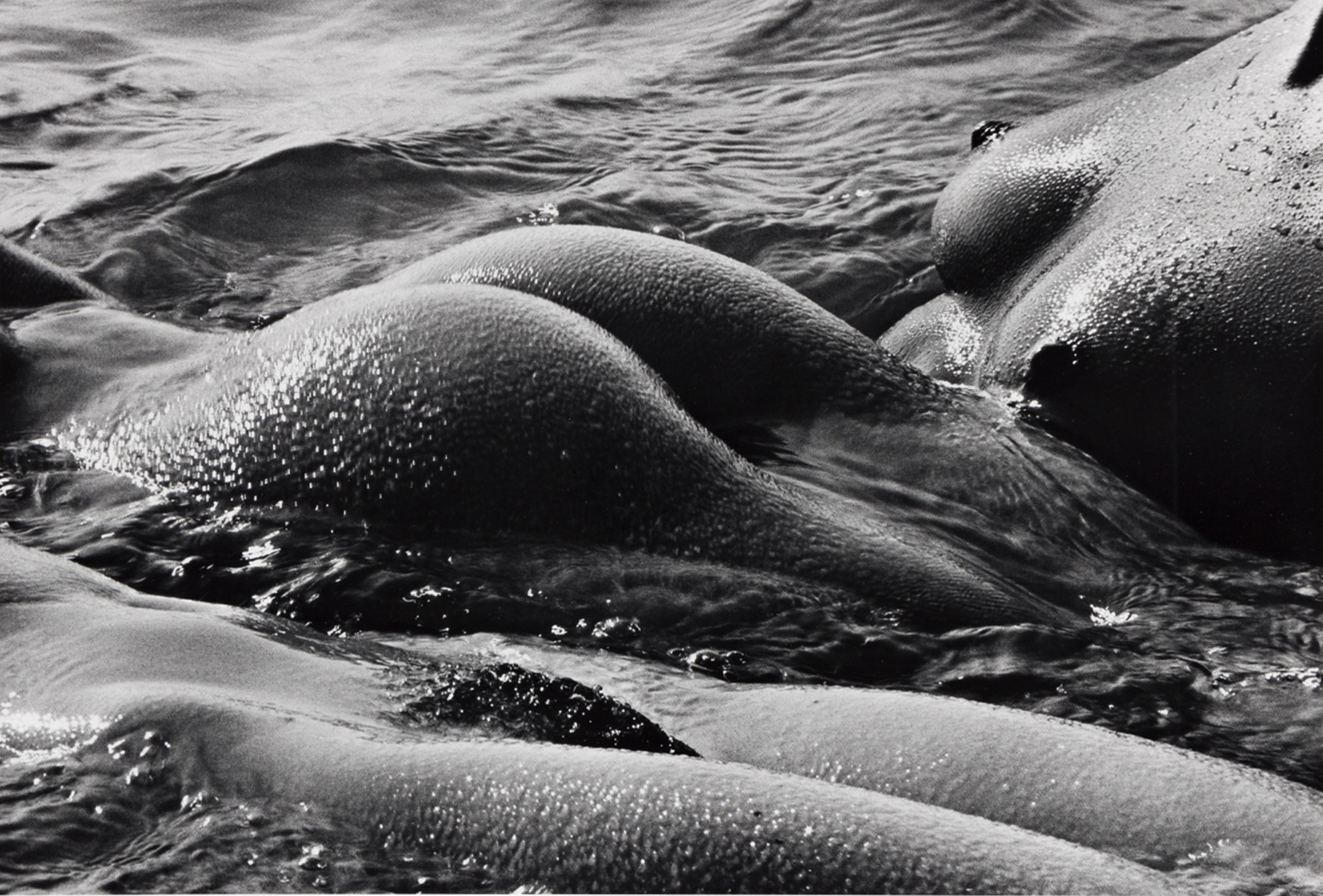 Lucien Clergue, Les Géantes, Camargue Lucien Clergue, Les Géantes, Camargue