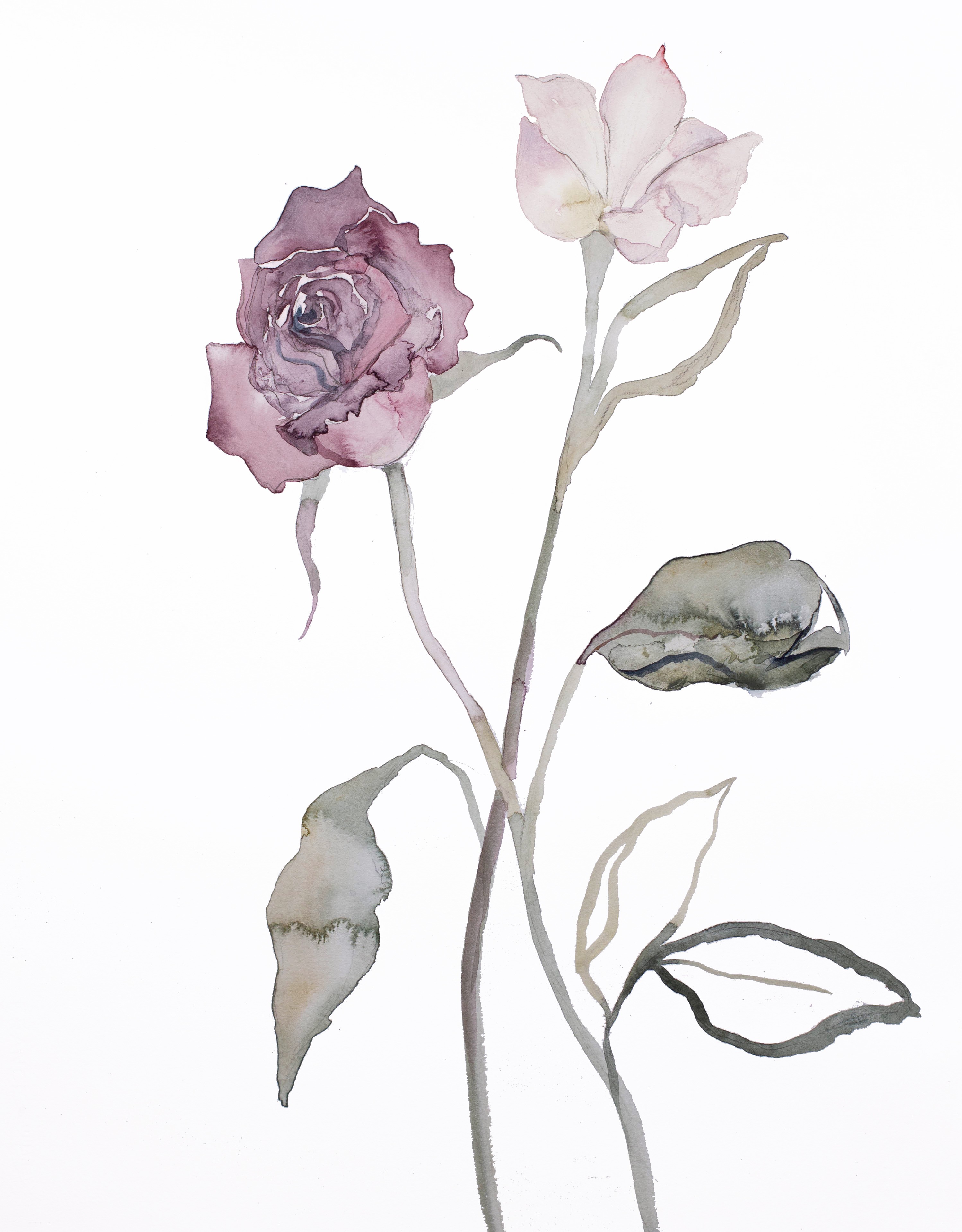 Elizabeth Becker, Floral No. 17 Elizabeth Becker, Floral No. 17
