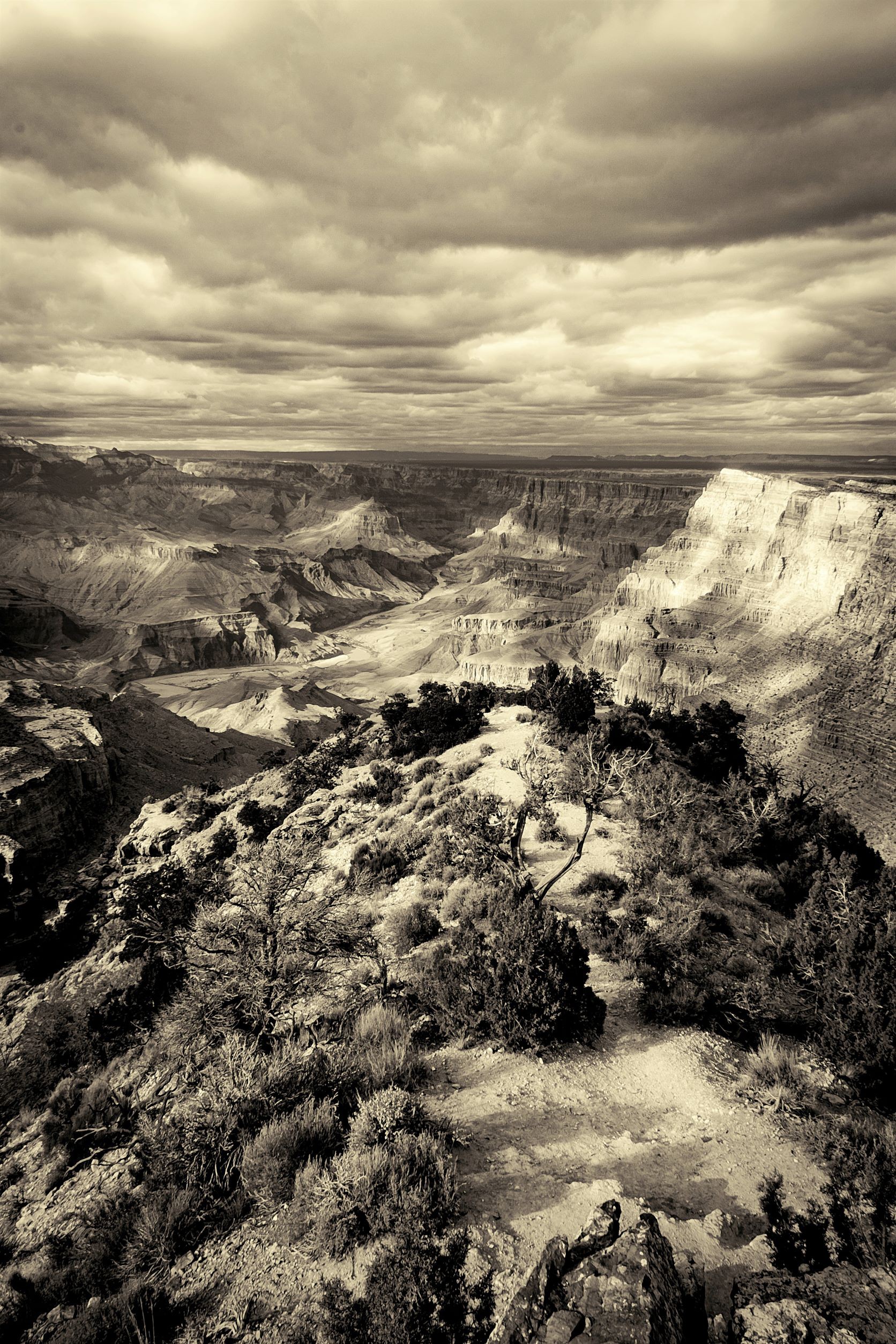 Jarmila Kostliva, Grand Canyon in Sepia Jarmila Kostliva, Grand Canyon in Sepia