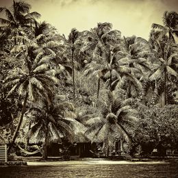 Fotografía, Tahiti's Palm Cove, Jarmila Kostliva