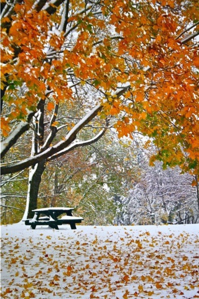 Marick, Neige d'automne Marick, Neige d'automne