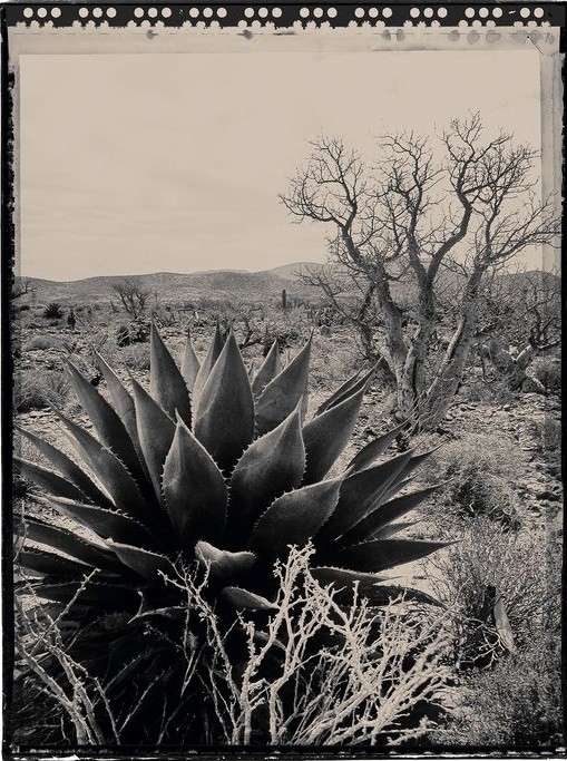 Heike Bohnstengel, Baja Landscape #1 Heike Bohnstengel, Baja Landscape #1