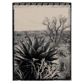 Heike Bohnstengel, Baja Landscape #1 Heike Bohnstengel, Baja Landscape #1