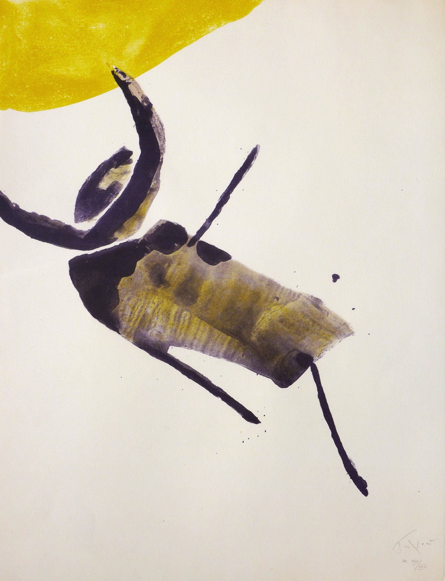 Pierre Tal-Coat, Insecte Pierre Tal-Coat, Insecte