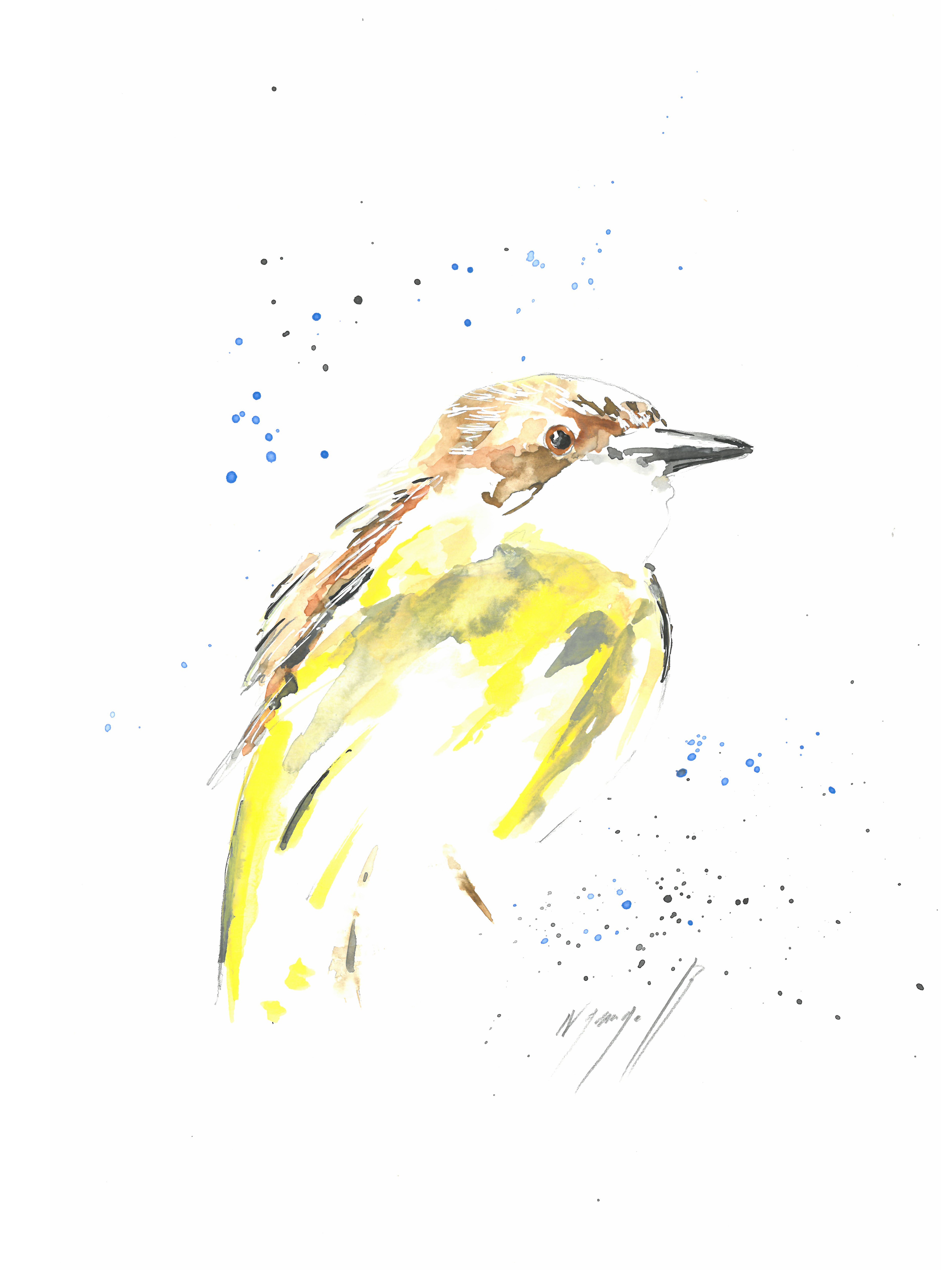 Noël Granger, Our yellow Bird Noël Granger, Our yellow Bird