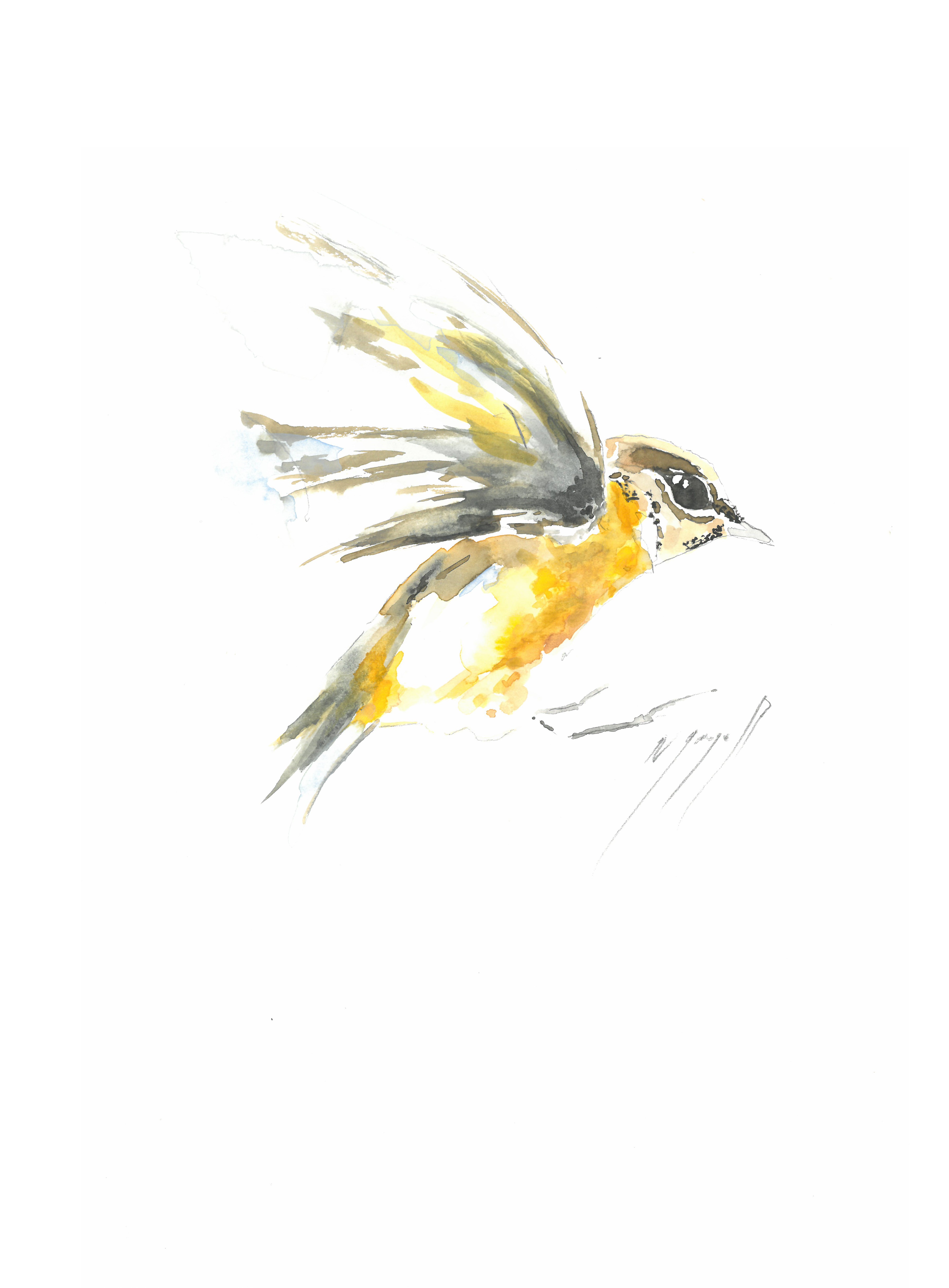 Noël Granger, Our flying Yellow Bird Noël Granger, Our flying Yellow Bird