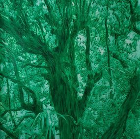 Photographie, England Forest#1 - Vieux tamarin des hauts, Tristan Vyskoc