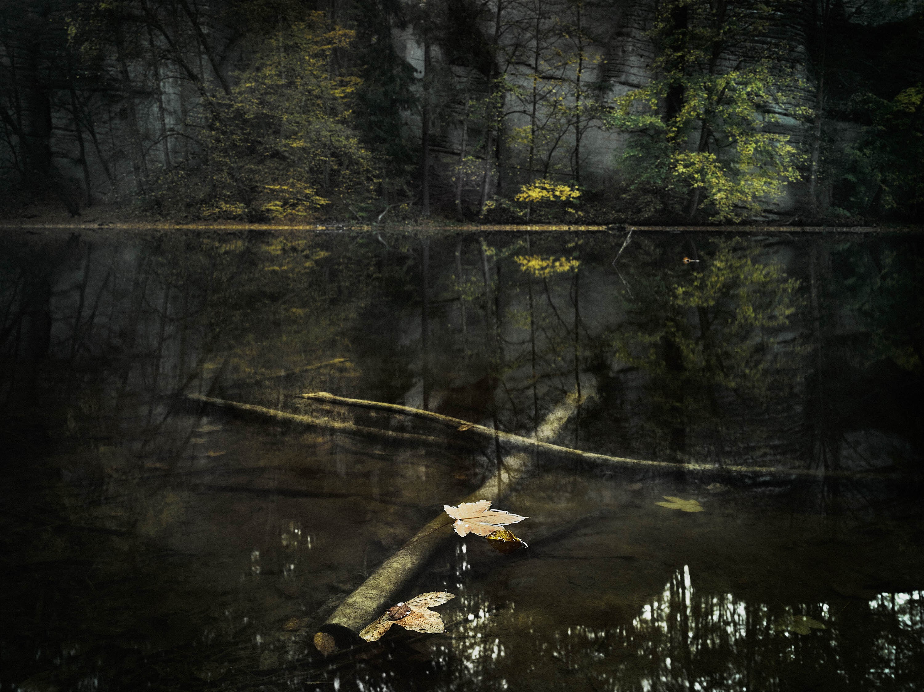 Jan Brunclík, Autumn morning 2019 Jan Brunclík, Autumn morning 2019