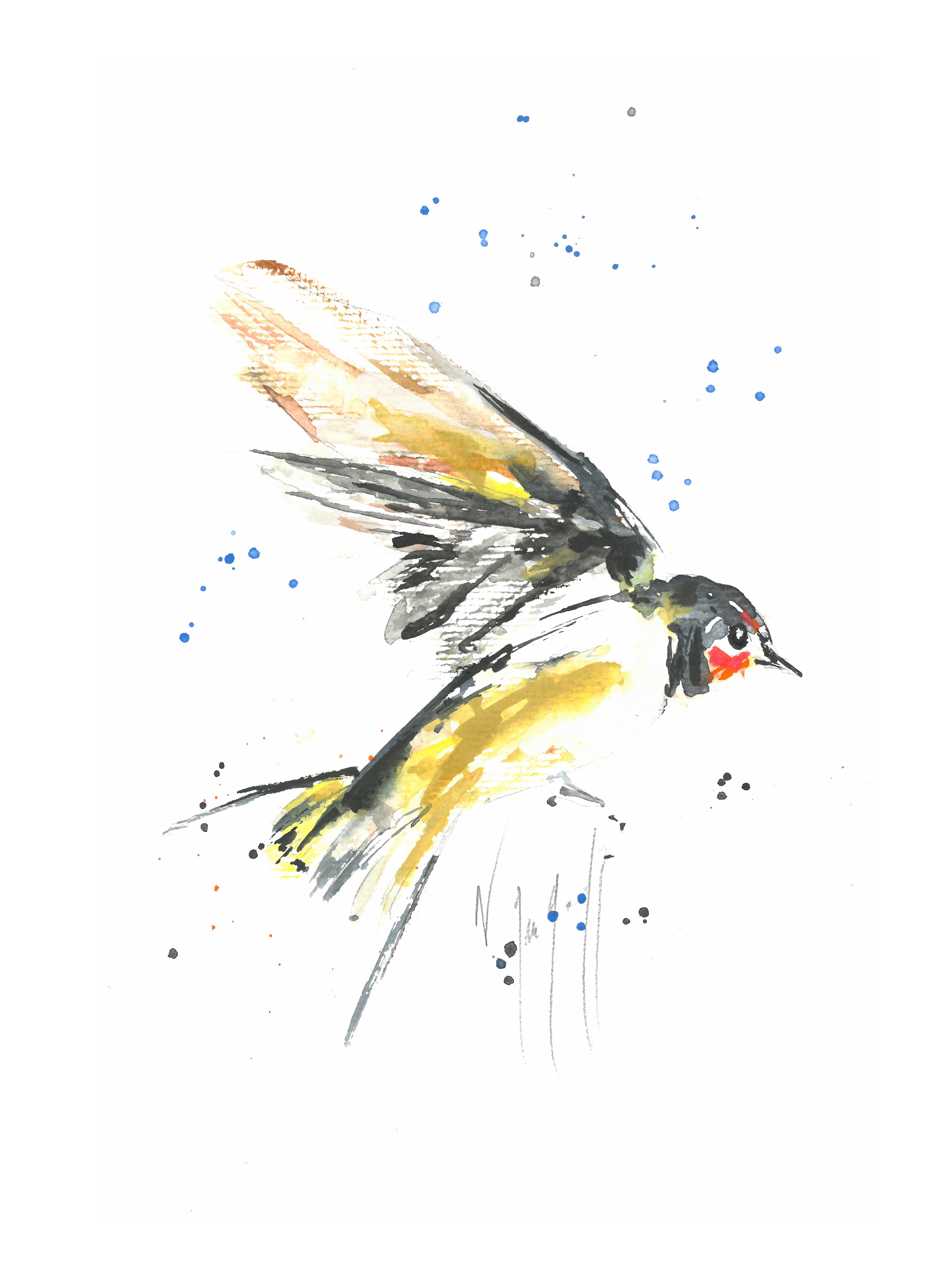 Noël Granger, L'oiseau qui se pose ! Noël Granger, L'oiseau qui se pose !