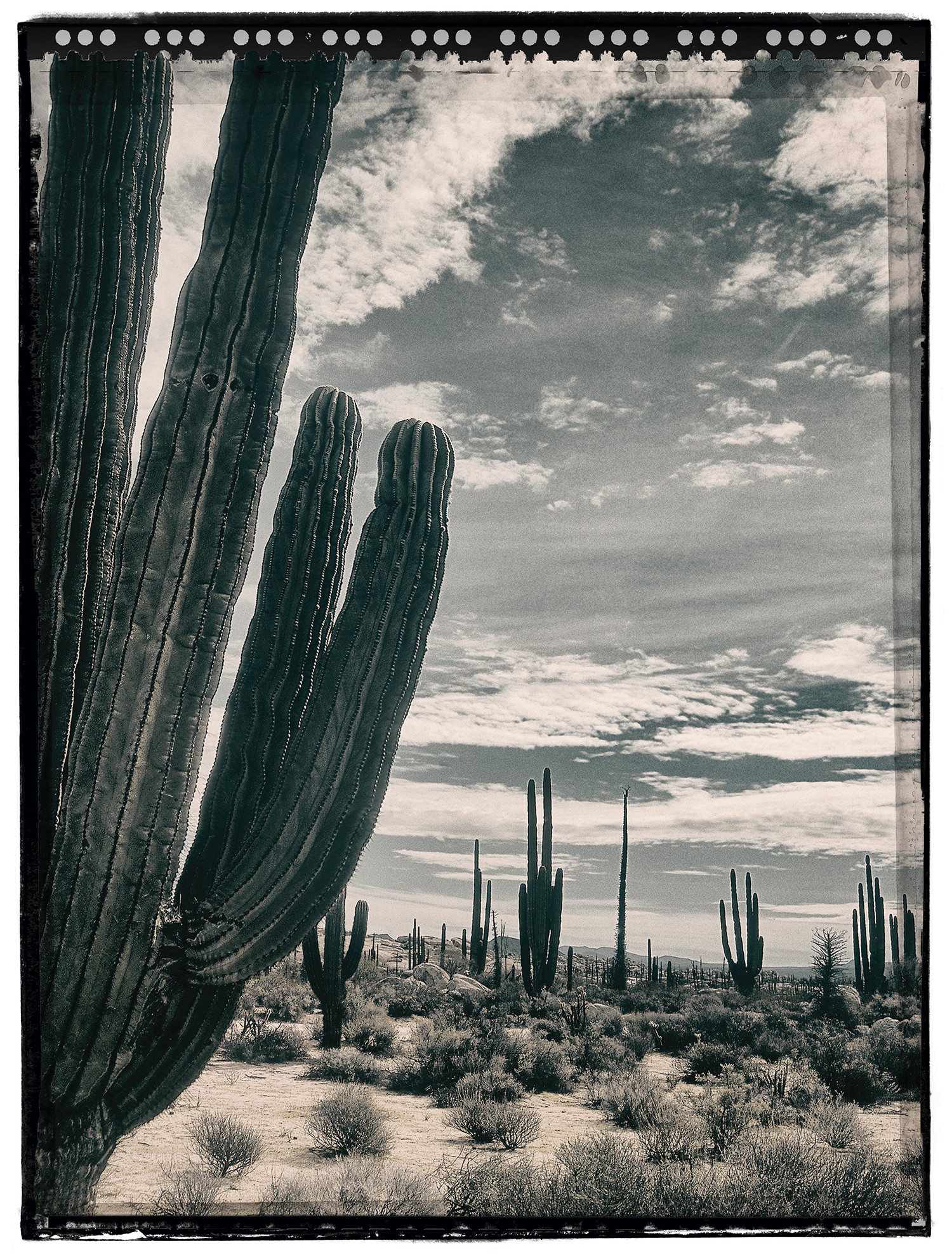 Heike Bohnstengel, Baja Landscape #2 Heike Bohnstengel, Baja Landscape #2