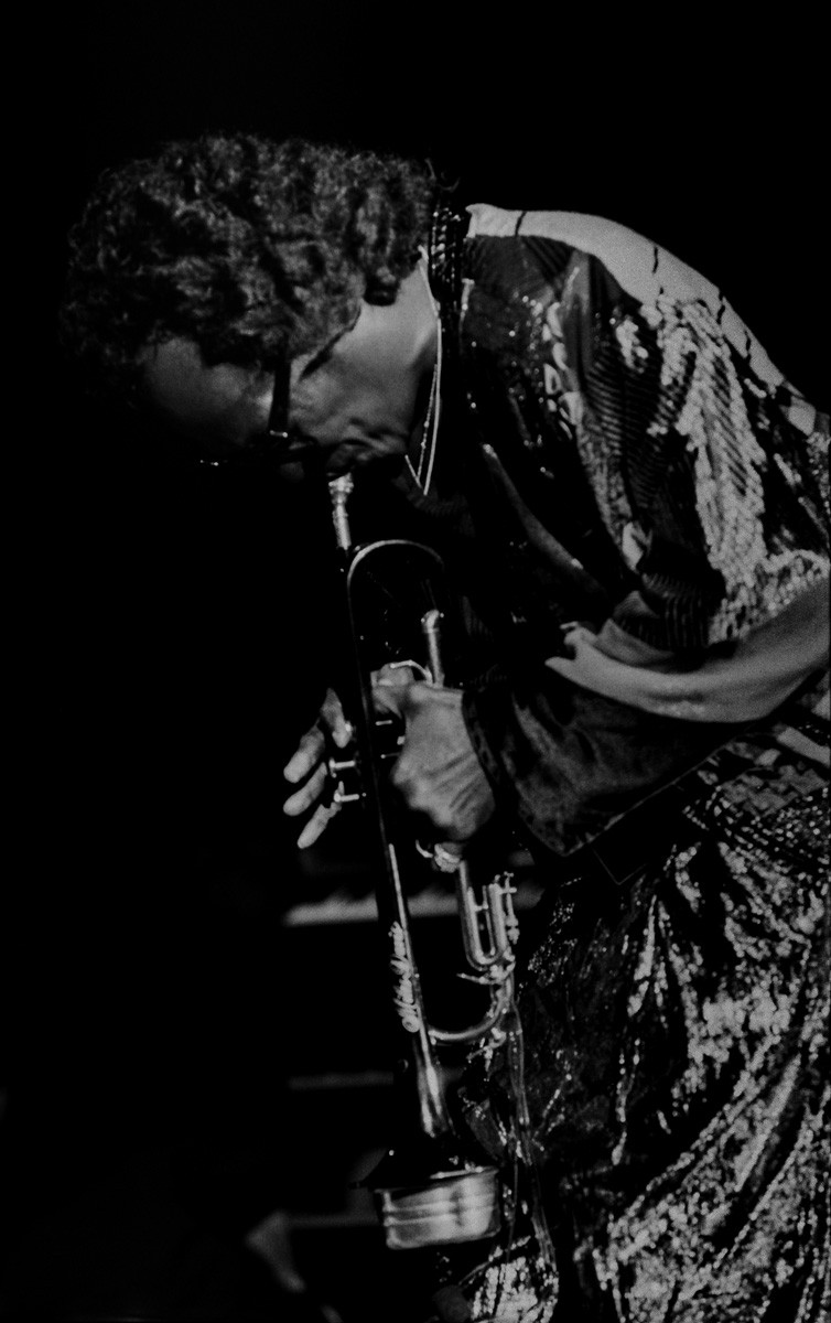 Hervé Pezzini, Miles Davis - Courbé Hervé Pezzini, Miles Davis - Courbé