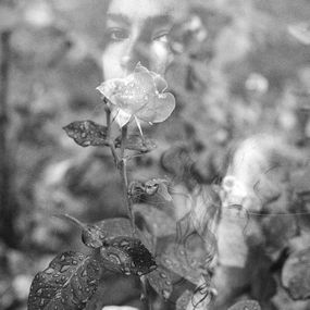 La rose gelée, Clara Diebler
