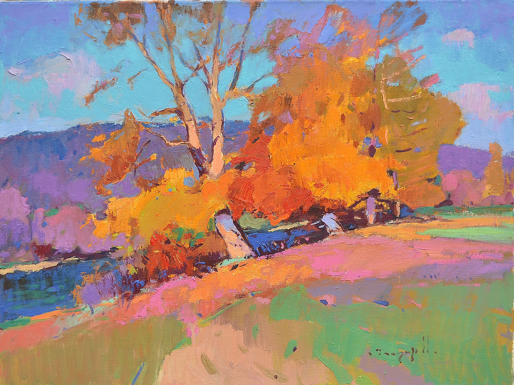 Alexander Shandor, Amazing Colors Alexander Shandor, Amazing Colors