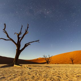 Pleine lune sur le deadvlei, Mathieu Pujol