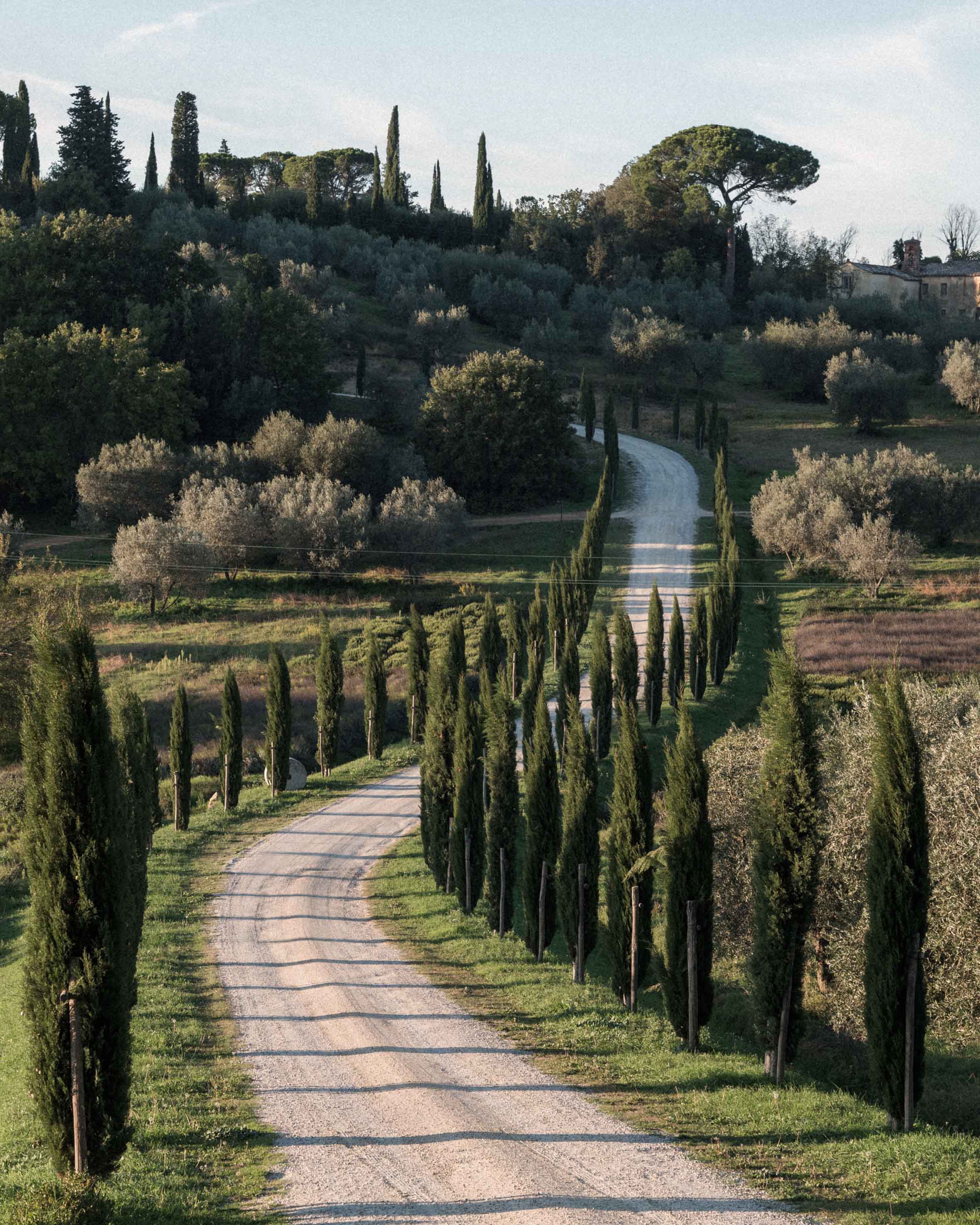 Tanguy Mendrisse, Strada Toscana Tanguy Mendrisse, Strada Toscana
